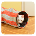 Cat Tunnel