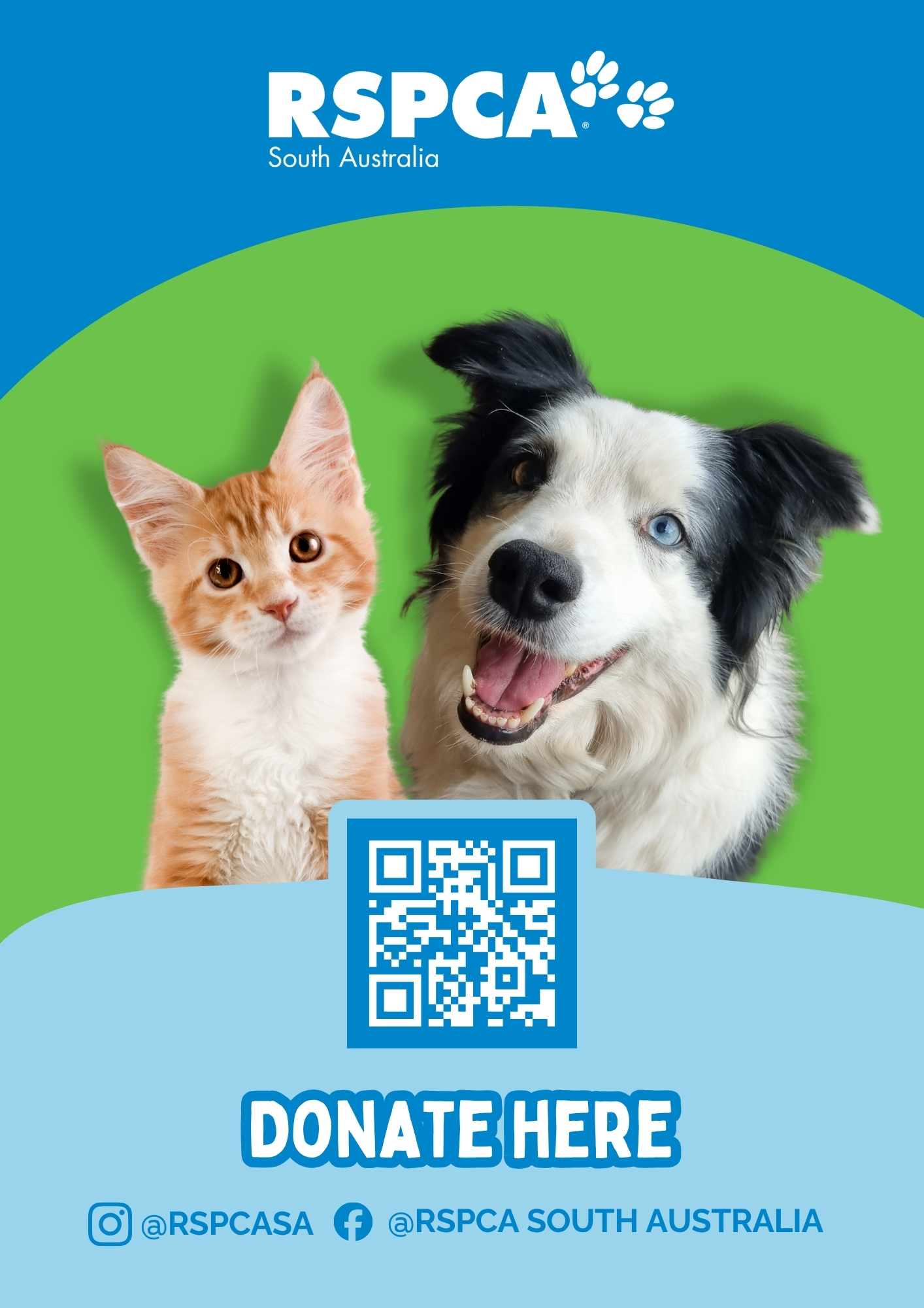 Animal Fundraising Poster