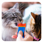 Lickable Cat treats